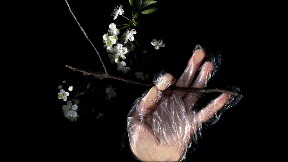 Contactless Deliveries 04: Victoria Lomasko