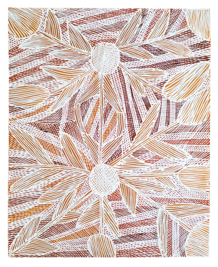Mulkuṉ Wirrpanda, 2017, 'Ŋäṉka-bakarra' , work on paper, 67.5cm x 55cm