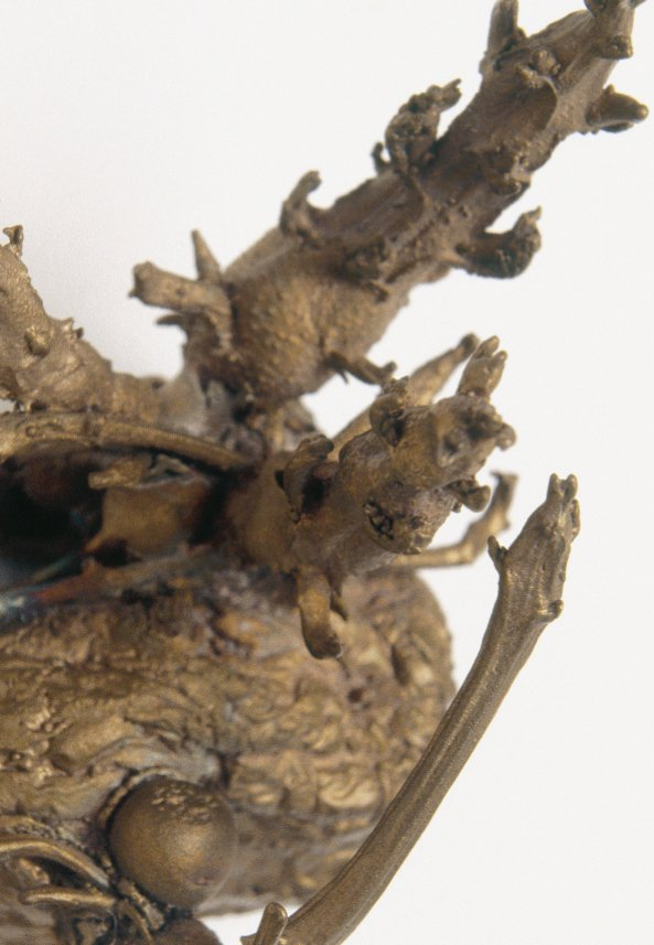 Anya Gallaccio, Sometimes with one I love