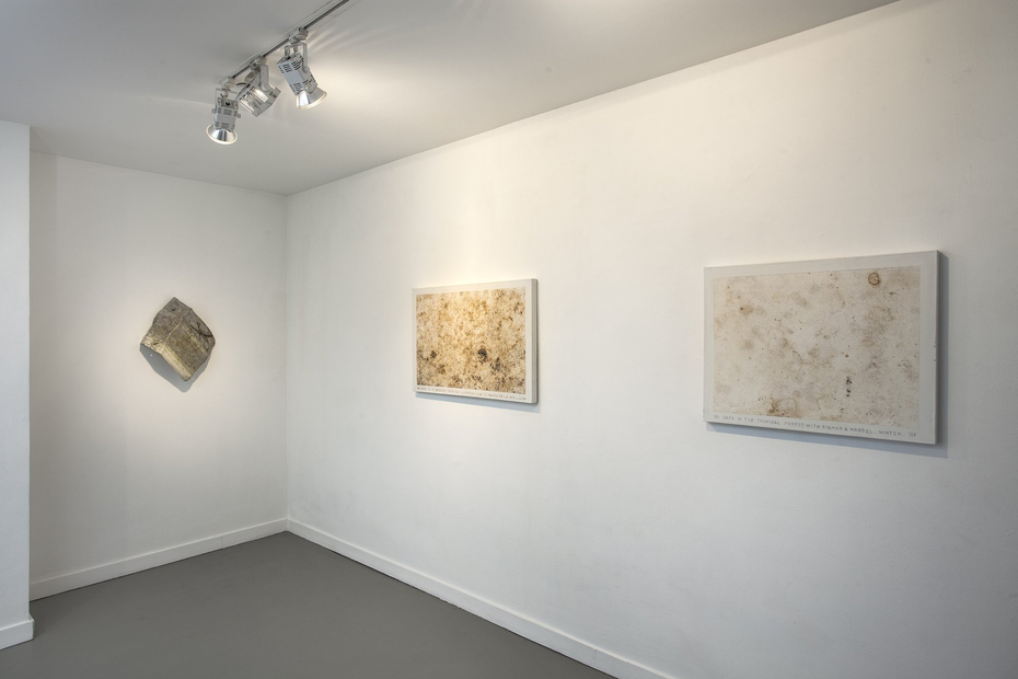 Chemi Rosado Seijo, 173 DAYS IN THE TROPICAL FOREST LATITUDE 18º 23' 26.88' N. LONGITUDE 66º 22.93' W. BO. MARICAO,...