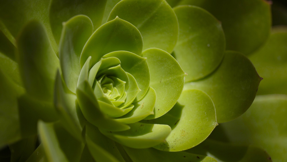 Amalgamated Imagery Wolfe Miller Gallery, London 18 May - 25 August 2013