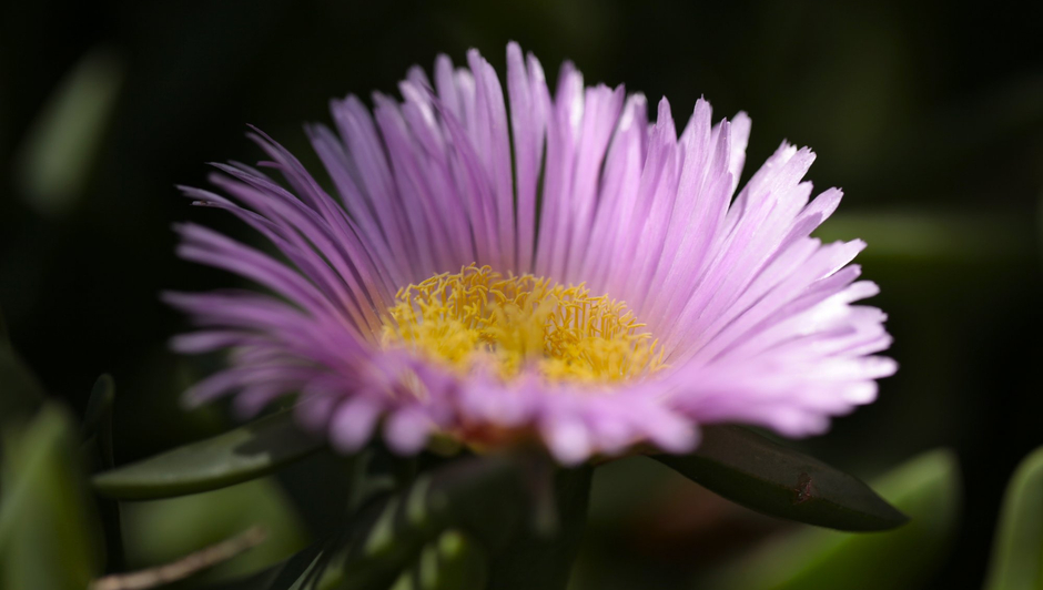 Fotology Festival 2013 Geronimo Park, Sussex 18 May - 25 August 2013