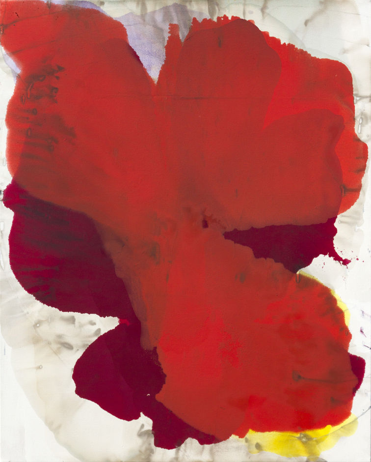 Dirk De Bruycker "Iolas"