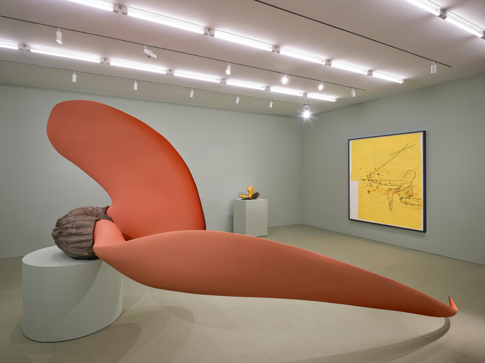 Teresa Solar Abboud: Night Crawler, Installation view