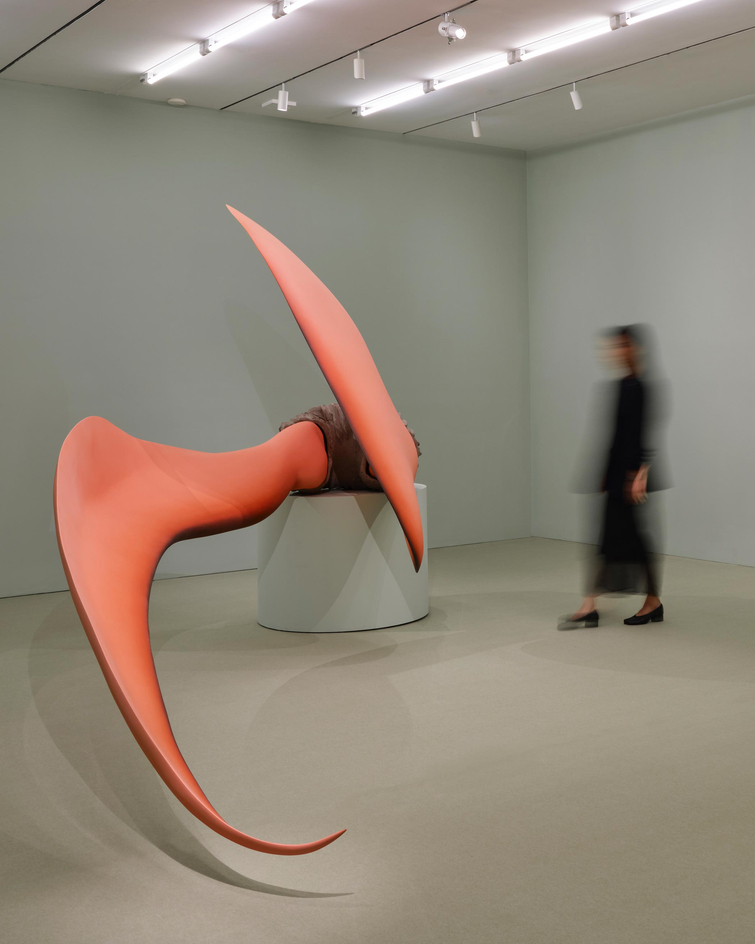 Teresa Solar Abboud: Night Crawler, Installation view