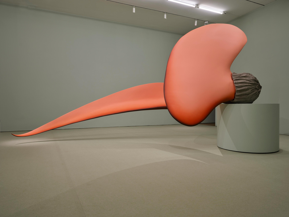 Teresa Solar Abboud: Night Crawler, Installation view