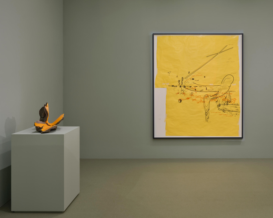 Teresa Solar Abboud: Night Crawler, Installation view