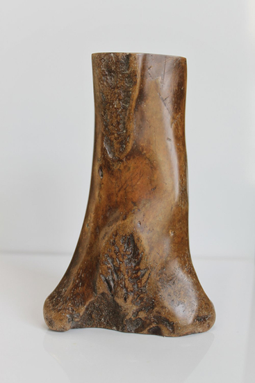 Tidal Ossuary 16F, 2009-2010