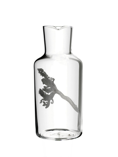 Fortune: Siachen Glacier, 2010