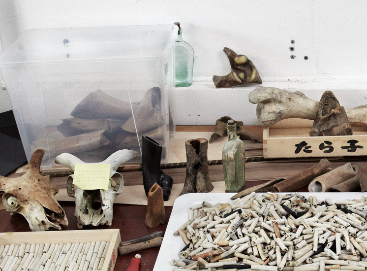 <p><strong>Julia Lohmann and Gero Grundmann</strong>, Tidal Ossuary installation at Gallery Jacqueline Rabun, 2010</p>