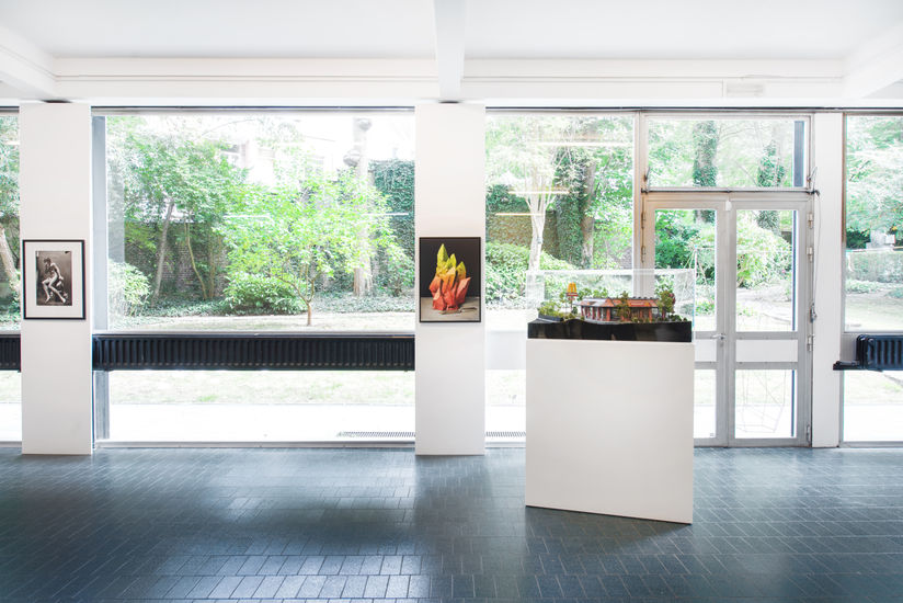 Purifications, Installation view at Aeroplastics @ WASHINGTON186, Brussels, 2017