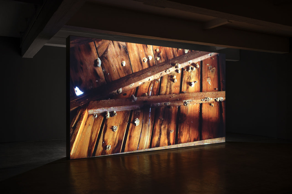 Zoë Hopkins: Ralph Lemon