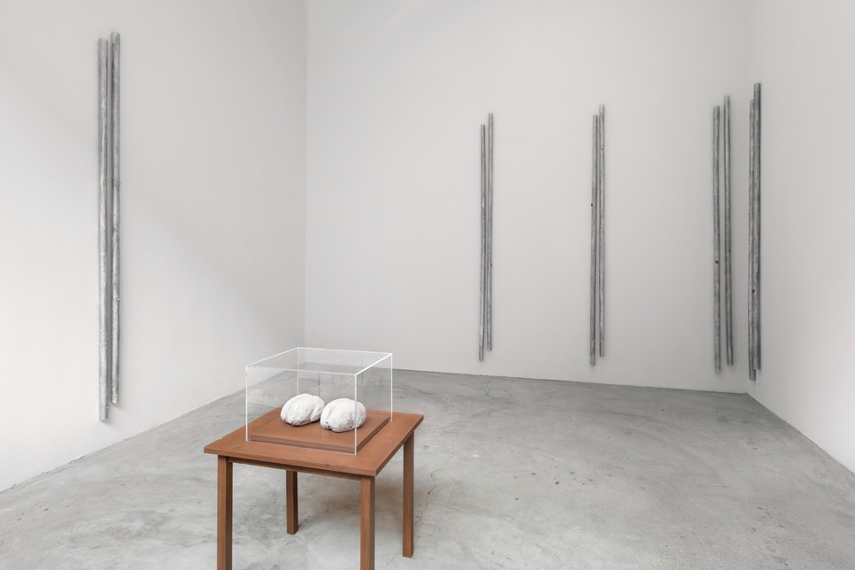 Andrei Koschmieder, Robert Gober