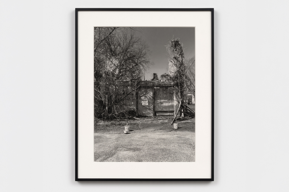 Allison Carey: "Ralph Lemon: From Out of Space"