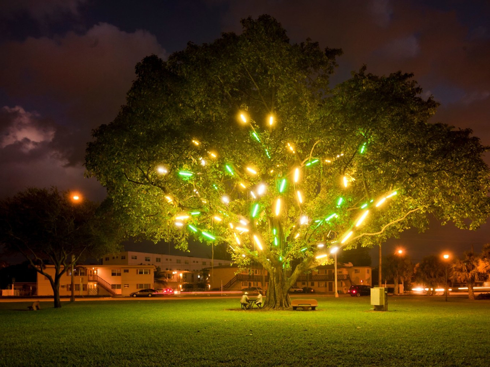 Art installation of neon lights installed in a tree