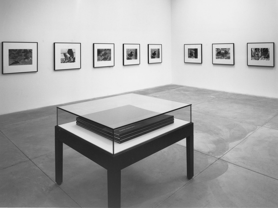 Christopher Williams