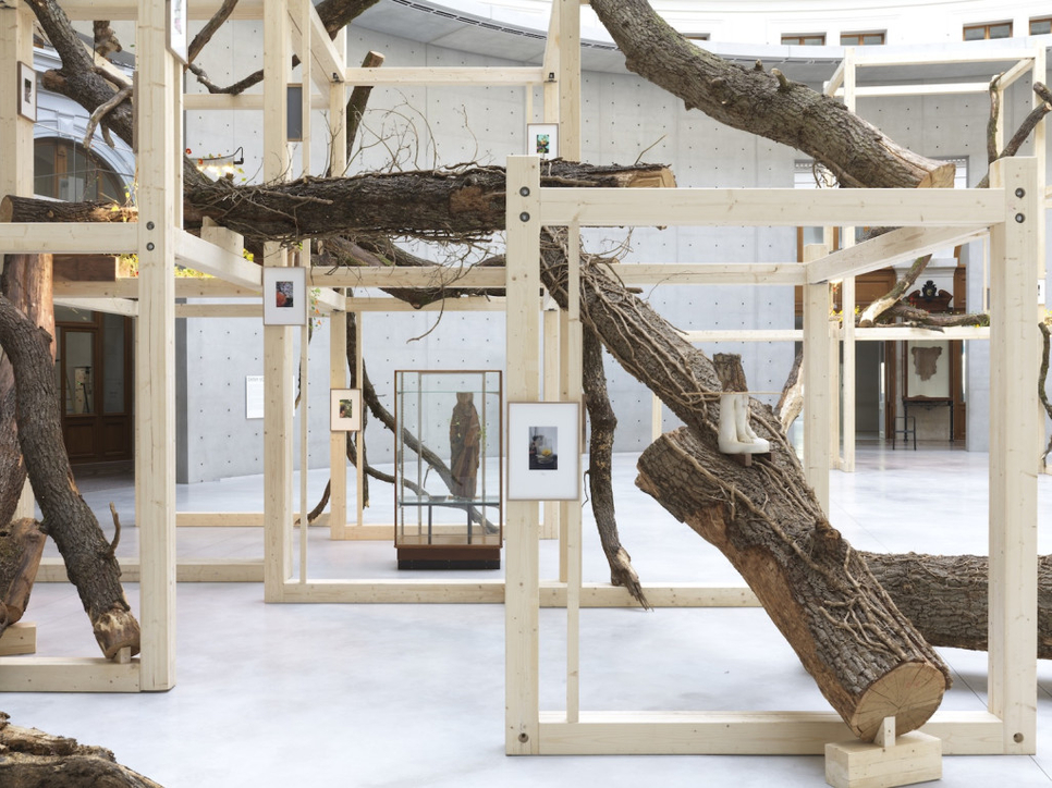 exhibition | danh vo