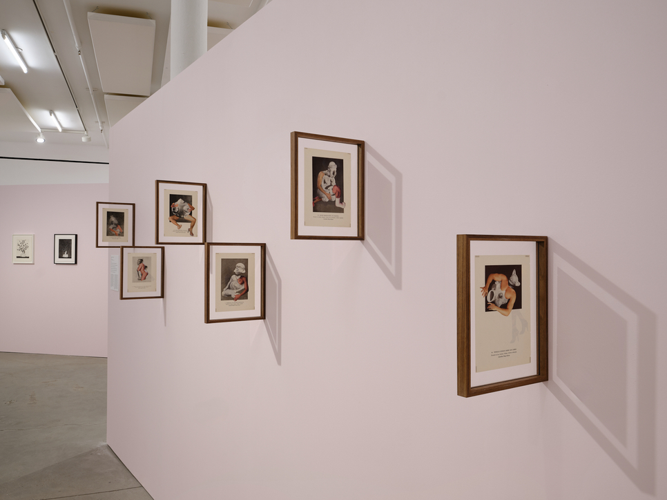 exhibition | felipe baeza: anima