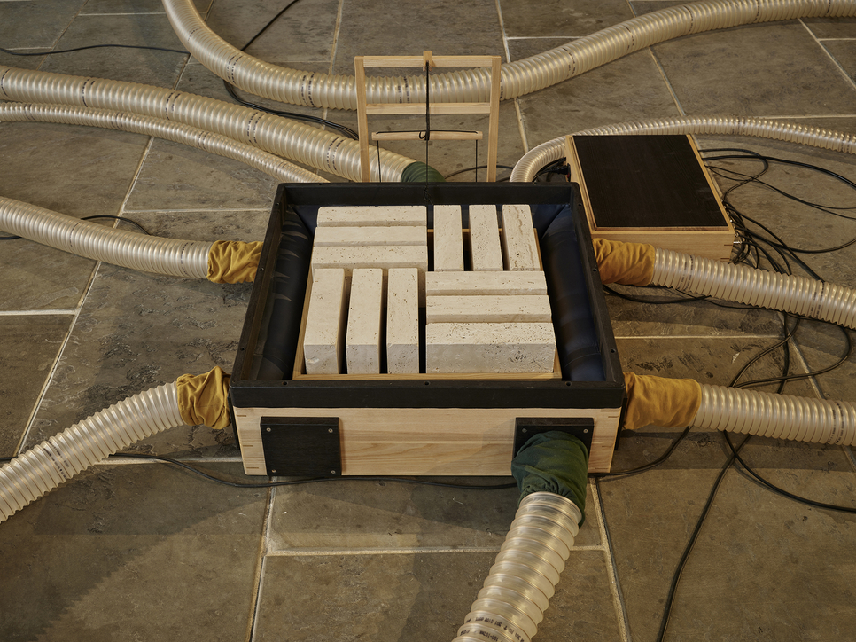 exposición | tarek atoui: souffle continu, sunflowers