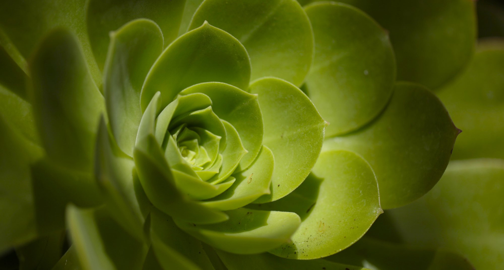 Amalgamated Imagery Wolfe Miller Gallery, London 18 MAY - 25 AUGUST 2013