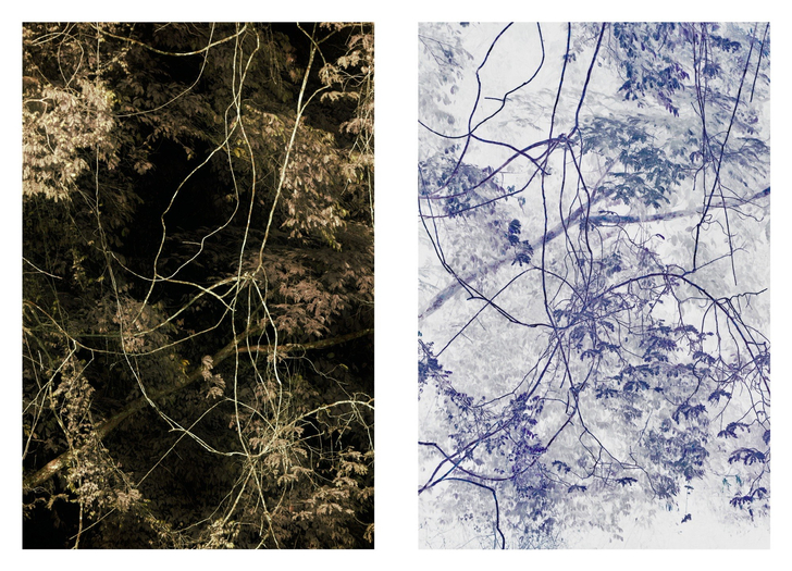 Diptych Double, 2019