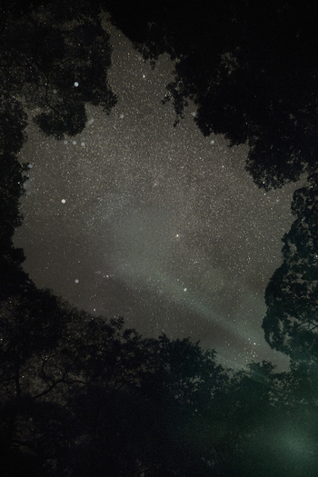 Untitled (Primordial Earth), 2020