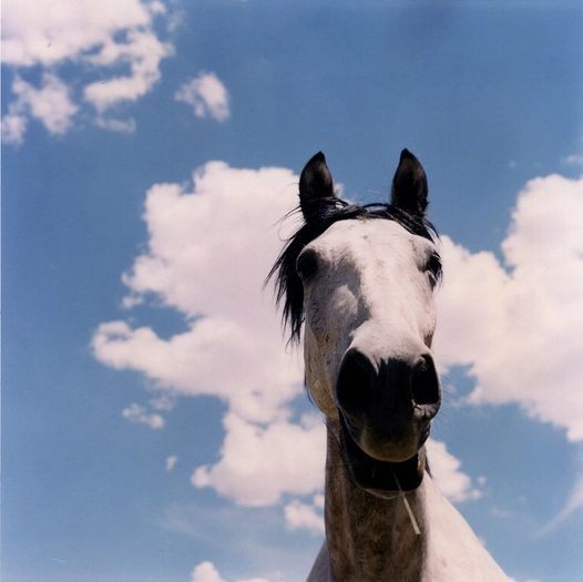 Lisa Eisner, Maxim Front & Center, Dubois, Wyoming, 1997