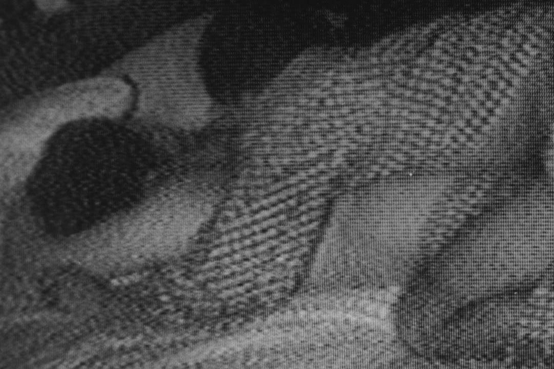 Kohei Yoshiyuki, Untitled No. 5, 1978