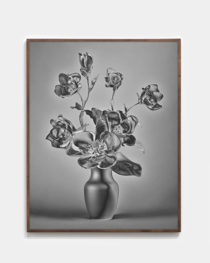 Jessica Eaton, MLL 04 v02, 2022