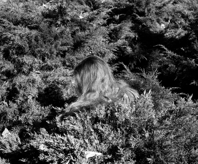 Whitney Hubbs, Untitled (Hair), 2012