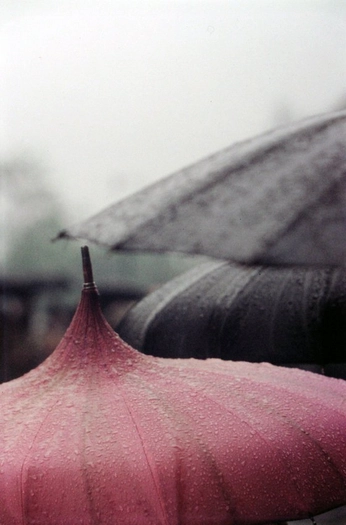 Saul Leiter, Untitled (Pink Umbrella Close-up), 1950s