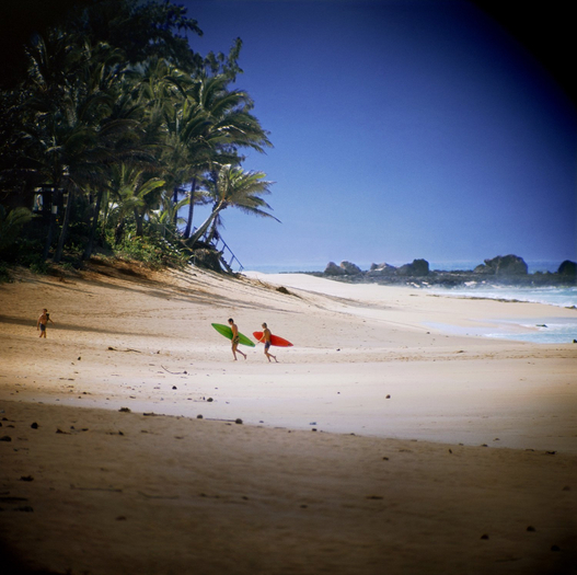 LeRoy Grannis, Shark's Cove, North Shore (No. 102), 1974