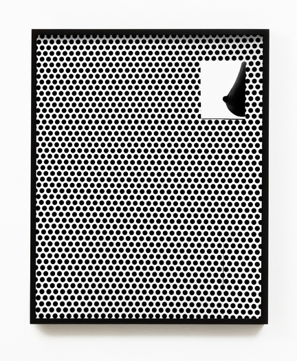 Hannah Whitaker, White As Milk, 2017