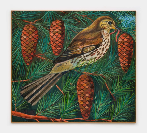 Kristof Santy, Zanglijster, 2024