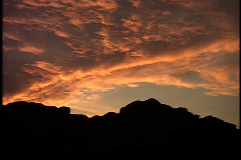 Mores McWreath, Leave it to Us, 2010