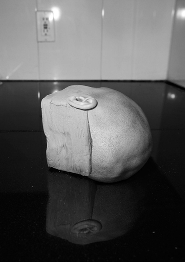 Asger Carlsen, Canal, 2013