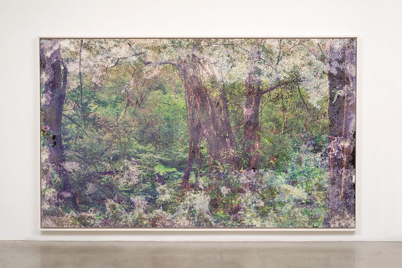 Matthew Brandt, Wai'anae 120722, 2015