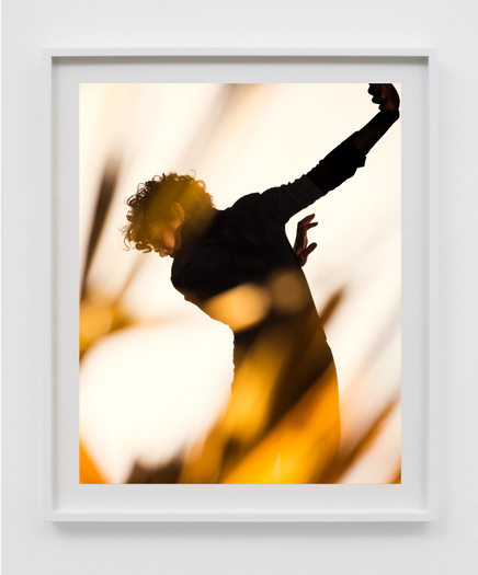 Matthew Porter, Automatic Arms, 2018