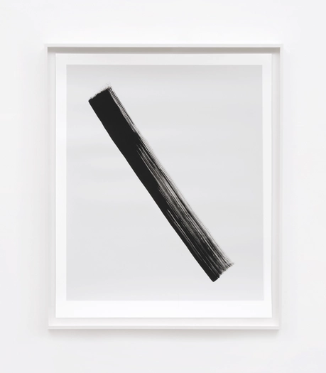 Phil Chang, Replacement Ink for Epson Printers (Matte Black on 10% Grey 222601) on Epson Enhanced Matte Paper, 2017