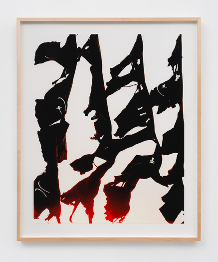 Matthew Porter, Sunclipse, 2016