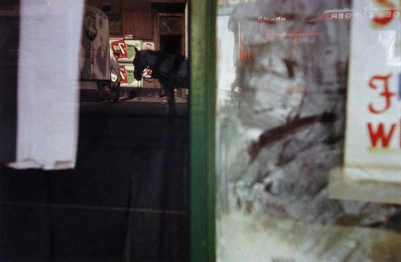 Saul Leiter, Horse, 1958