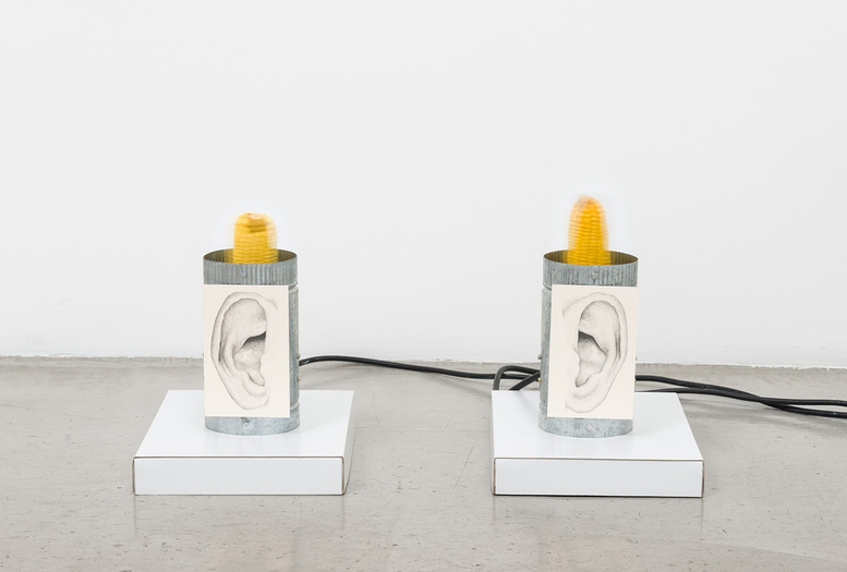 Jesse Stecklow, Ear Wiggler (LEFT and RIGHT), 2015