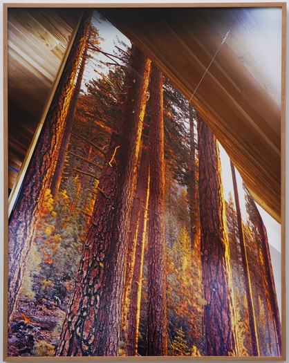 Anthony Lepore, Canopy, 2010