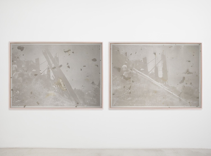 Matthew Brandt, HS10593/HS10583 (diptych), 2013