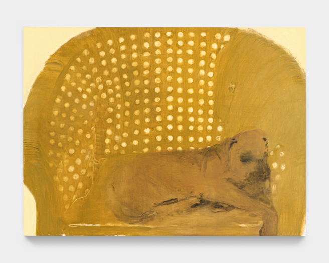 Aubrey Levinthal, Wicker Chair (Pitbull), 2023