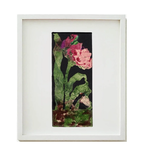 Oxana Tregubova, Paeoniaceae Peregrina, 2024