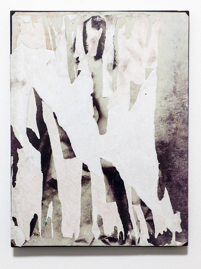 Guillermo R. Gudiño, Encarnación involuntaria #1, 2013