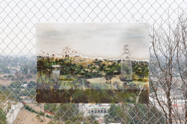 Dwyer Kilcollin, Cloudy 10am Bottles, 1st Position, 2014