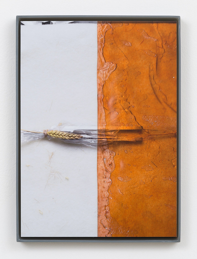 Jesse Stecklow, Untitled (Fly tapes: Potential Derivatives), 2015