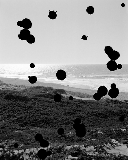 Arthur Ou, Test Screen 4 (Point Reyes), 2008